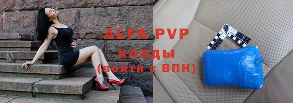 прущие крисы Белокуриха