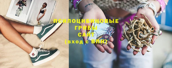 трава Богданович