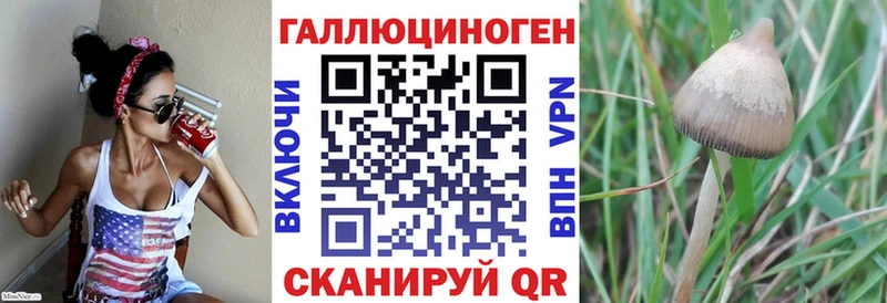 Псилоцибиновые грибы Magic Shrooms  Мензелинск 